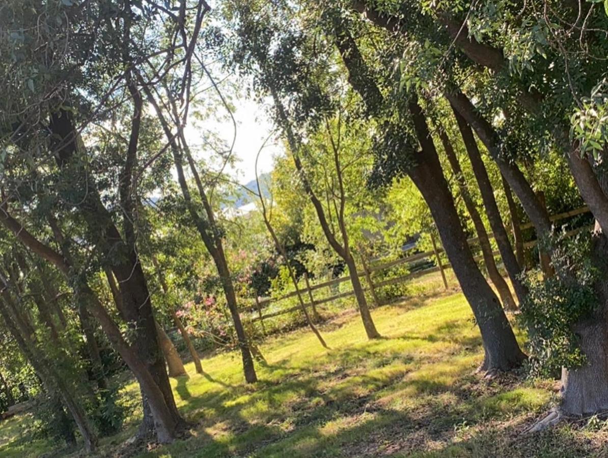 Chalet En Pleine Nature La Roquette-sur-Siagne Exterior foto